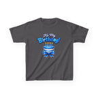 Kids Birthday T-Shirt – Boy Birthday Graphic Tee